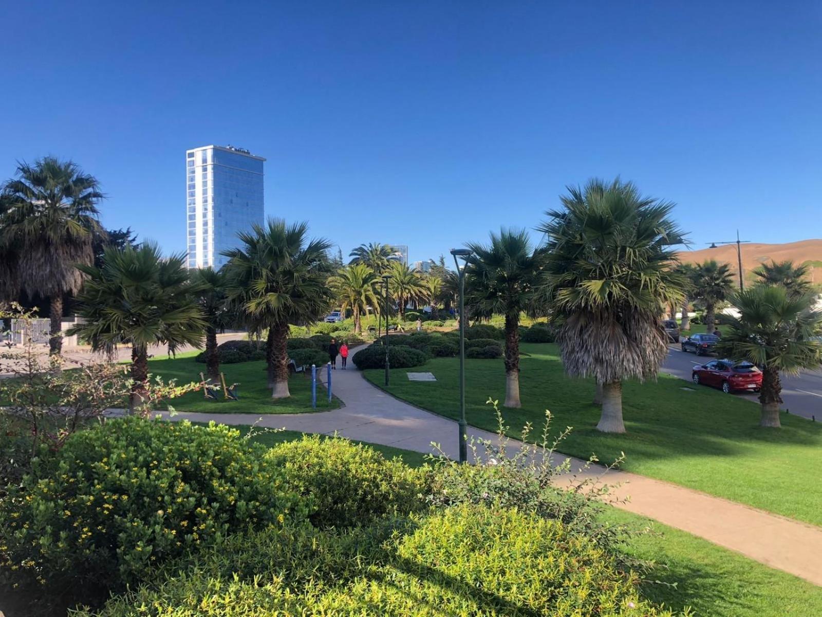 Apartamento Depto Con Vista Al Mar En Costa De Montemar.